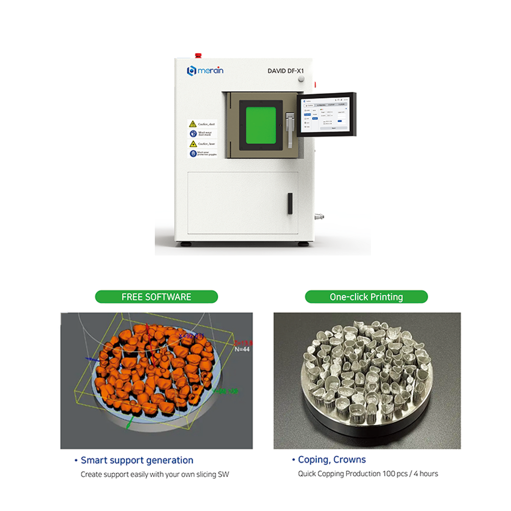 Metal 3D Printer [DAVID DF-X1]